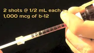 Where does Sugar Daddy get his B12?