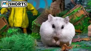 🐹 Hamster Escapes the Little Nightmares Maze in the Hunter's House 