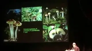 Paul Stamets on Mushrooms & Mycology of Consciousness at CIIS San Francisco