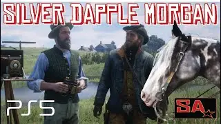 You Can Still Get Albert Mason’s Silver Dapple Pinto Missouri Foxtrotter, in Red Dead Redemption 2