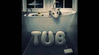 Fifth Species - Tub
