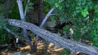 Make a mess?? Clean it up! Riverside. Ca. Rolling Code Tv #lawenforcement #police #cop #policevideos