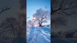 Which one makes you feel the most at home tiktok by vdsxmadi