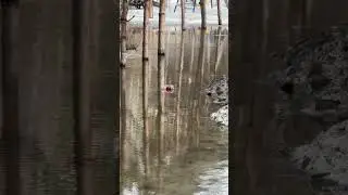 Сифон уплыл 2 часть