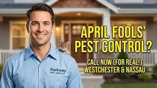 The Pest Problem Nobody Expected | April Fools