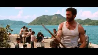 Wolverine X