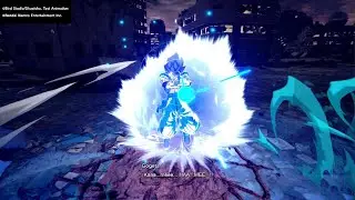 S Rank Gogeta VS Gogeta ssj4 in Ranked: DRAGON BALL: Sparking! ZERO