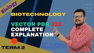 Biotechnology Principles and Processes-Vector PBR 322 complete explanation Class 12 Part 5