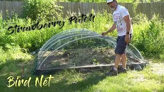 Strawberry Patch Bird Net