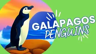 10 Fascinating Facts About the Galapagos Penguin, the Only Penguins in the Tropics