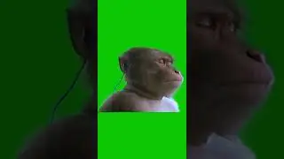 Legendary Sony Walkman Monkey Green Screen Meme: Groovin' with the Classics ||
