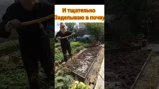 готовим грядку к следующему сезону