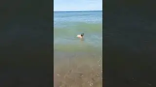 на море