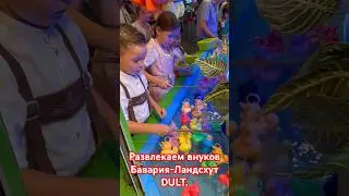 У нас в гостях внуки.