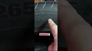 шина