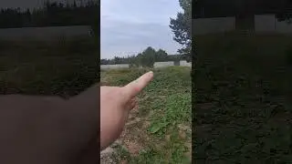 Огород 2022