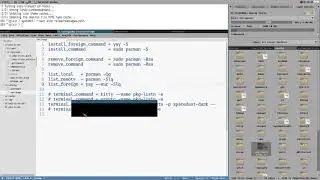 manage ARCH (or UBUNTU) packages with VIM (or VScode)