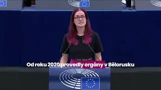 Zastavme posledního skutečného diktátora v Evropě Lukašenka [PLENÁRKO #73]