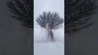 Beautiful Snow Shower - #travel #trending #viral #top #amazing #awesome #snow #snowfall #shorts