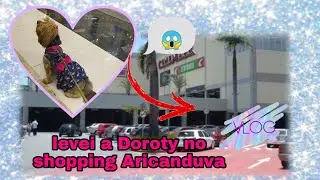 Vlog - levei a meu cachorro no shopping