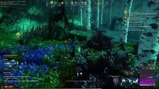 New World dowsing for answers quest bugged