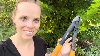Tree Pruning & Hardy Geraniums! | Simply Bloom
