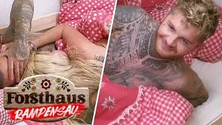 Die Hemmungen fallen: 