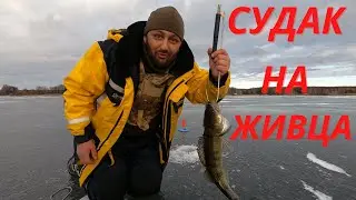 Зимняя Рыбалка! Судак на живца! №56