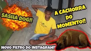 COMO USAR O FILTRO DO CACHORRO NO INSTAGRAM!! (SUPER FÁCIL E PRÁTICO)