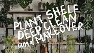 my plant shelf needed some love... and new lights! 💡