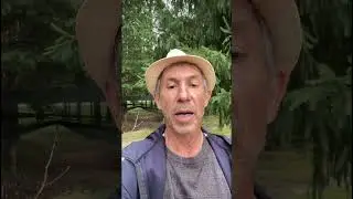 С праздником вас! #деревня #nature #village #праздник #shortvideo #shorts #short
