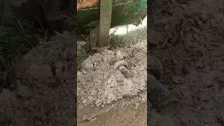 Бывает и такое )))