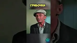 каждой рыбке цветочек на могилку  