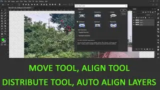 Move Tool Options in Adobe Photoshop - Align, Distribute, show transform control, auto align layers.