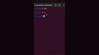 Usando comando DPKG para instalar Google Chrome no Ubuntu Linux