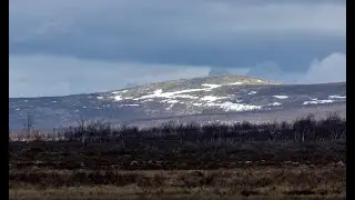 Tavvavuoma Fåglarnas paradis