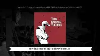 Them Crooked Vultures - 13 - Spinning In Daffodils