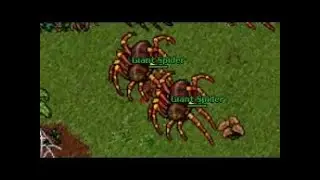 Tibia:Zona para subir nivel 90-115