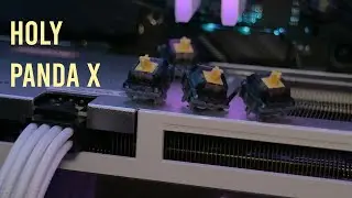Holy Panda X | Có còn holy như huyền thoại?