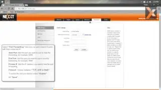 Viking 300: Port Forwarding Setup