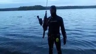 Как одновременно светят три фонаря Ferei W152, Ferei W163 и Magicshine-810 на подводном ружье