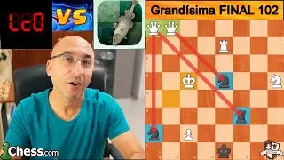 LEELA MAKES TWO CHECKS AND BEATS STOCKFISH