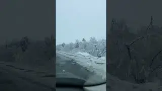 11 февраля 2024 г.