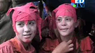 Festival-TV: Brabantsedag Heeze deel 1