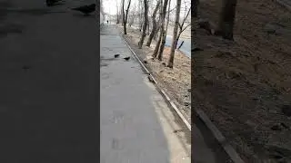Аватар. Легенда о Серго #аватар #тизер #тикток