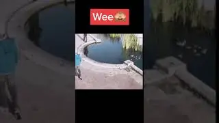 Funny Fail Collection #shorts #funny