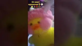 17 января 2022 г.