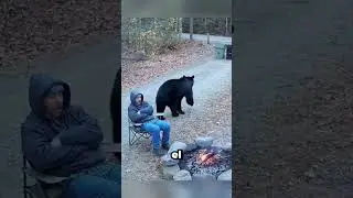 Cuando Las Cámaras Captaron Los Momentos Más Asomb