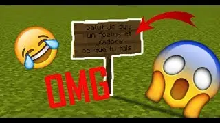 UNE MAP VRAIMENT INCROYABLE A 1 000 000€ sur MINCECRAFT ?!