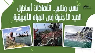 نهب منظم.. انتهـ،ــ،ـاكات أساطيل الصيد الأجنبية في المياه الأفريقية